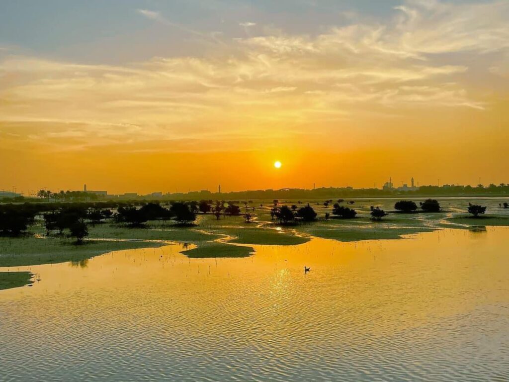 bahrain-capodanno008