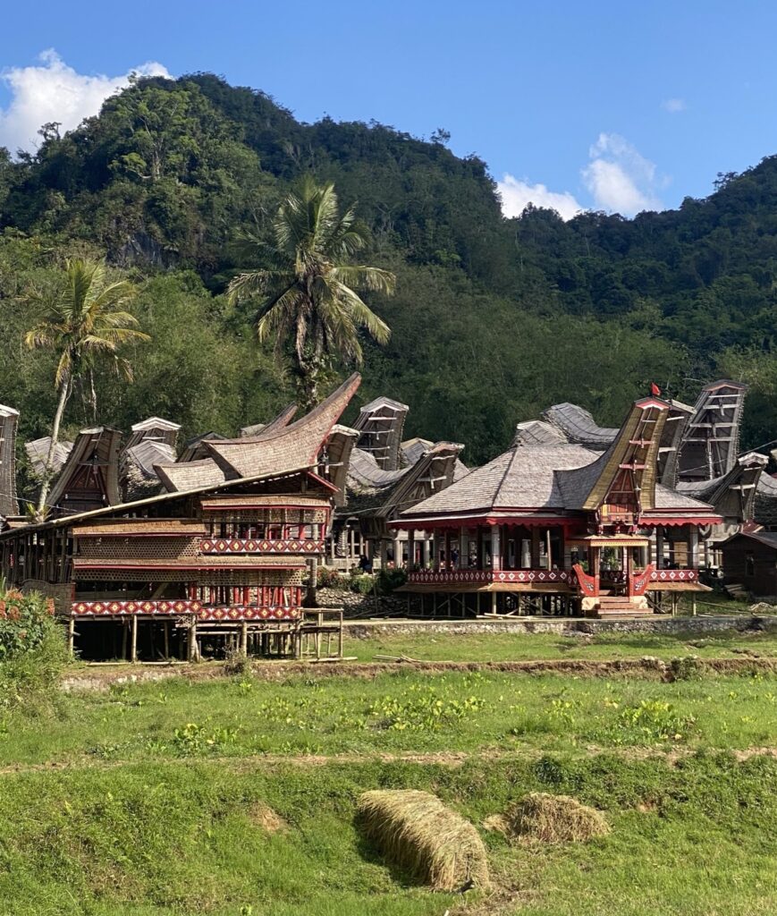 Indonesia - Sulawesi