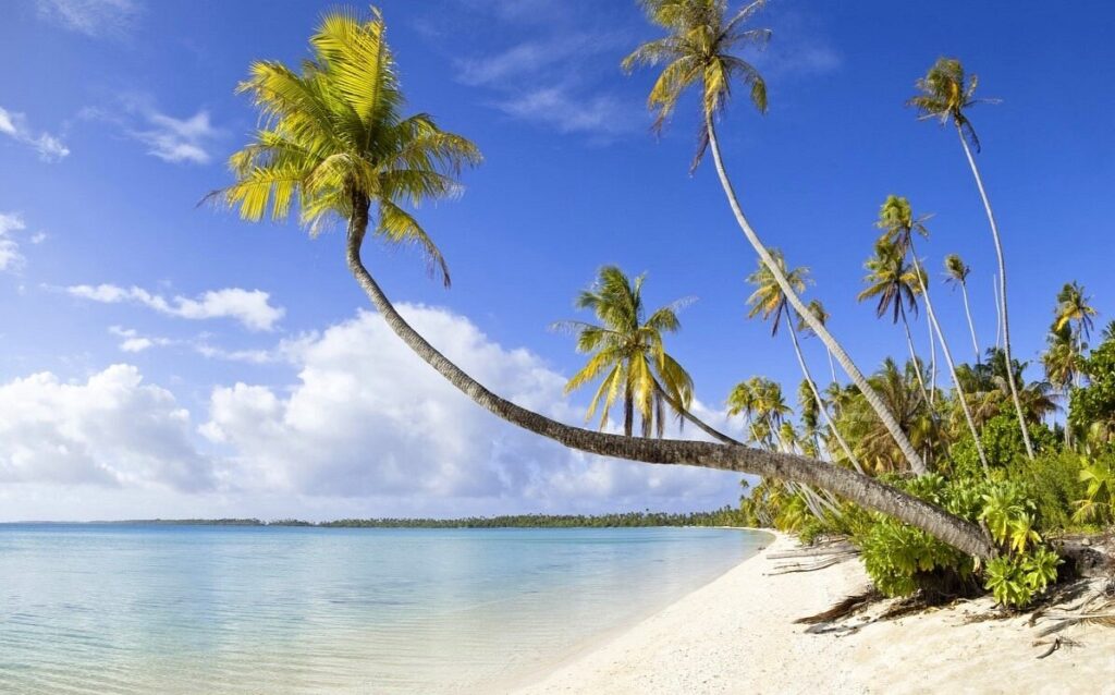 Madagascar, Madagascar del sud, viaggi, tour operator, agenzia di viaggi, viaggi in madagascar, travel expert, tour operator in italia, FIANARANTSOA, FORESTA DI ANJA & IL PARCO ISALO, Parco Nazionale di Ranomafana, Antananarivo, Toliary, Ifaty, Antsirabe, lemure, barriera corallina, africa, viaggi di gruppo, viaggi organizzati