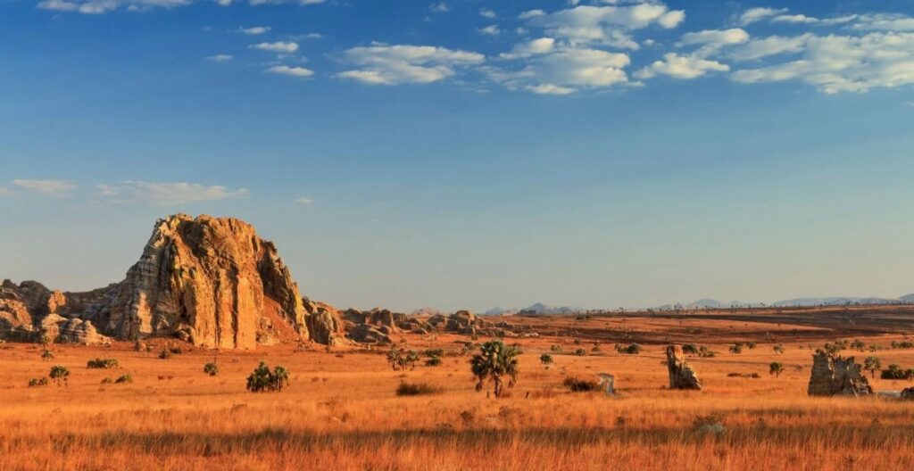 Madagascar, Madagascar del sud, viaggi, tour operator, agenzia di viaggi, viaggi in madagascar, travel expert, tour operator in italia, FIANARANTSOA, FORESTA DI ANJA & IL PARCO ISALO, Parco Nazionale di Ranomafana, Antananarivo, Toliary, Ifaty, Antsirabe, lemure, barriera corallina, africa, viaggi di gruppo, viaggi organizzati