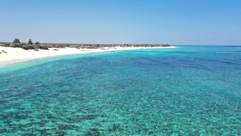 Madagascar, Madagascar del sud, viaggi, tour operator, agenzia di viaggi, viaggi in madagascar, travel expert, tour operator in italia, FIANARANTSOA, FORESTA DI ANJA & IL PARCO ISALO, Parco Nazionale di Ranomafana, Antananarivo, Toliary, Ifaty, Antsirabe, lemure, barriera corallina, africa, viaggi di gruppo, viaggi organizzati