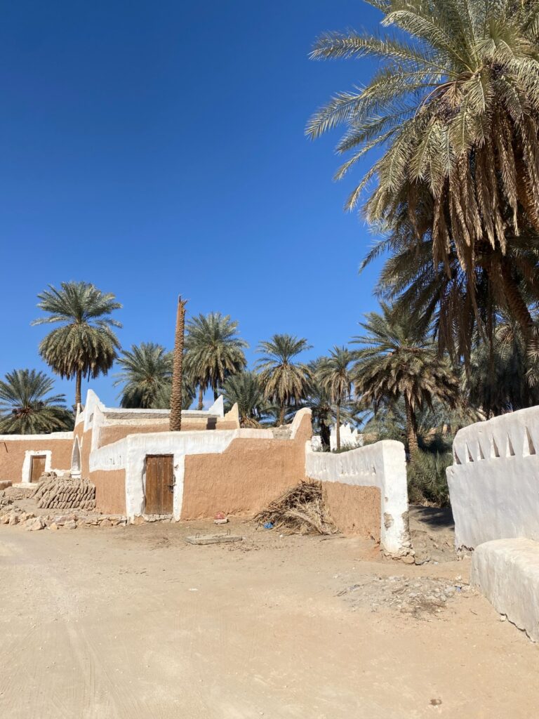 libia, libia archeologica, viaggi, tour operator, agenzia di viaggi, viaggi in libia, travel expert, tour operator italia, libia cirenaica, tripolitania, oasi di ghadames, agenti di viaggio