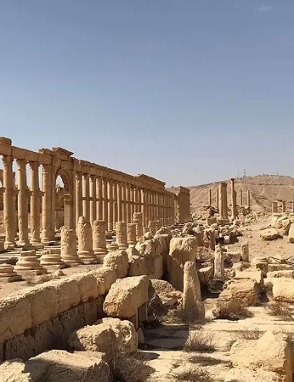 Siria, Damasco, Palmira, Aleppo, Lattakia, isola di Arwad, Krak dei Cavalieri, Maaloula, viaggio culturale, tour Siria, Medio Oriente