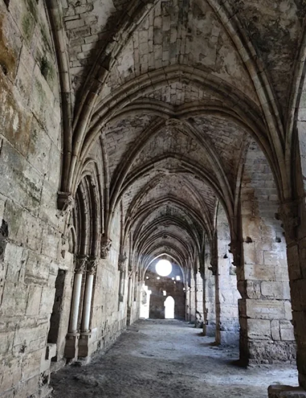 siria, damasco, aleppo, palmira, krak dei cavalieri, lattakia, arwad, maaloula, viaggio organizzato, tour culturale, capodanno 2027