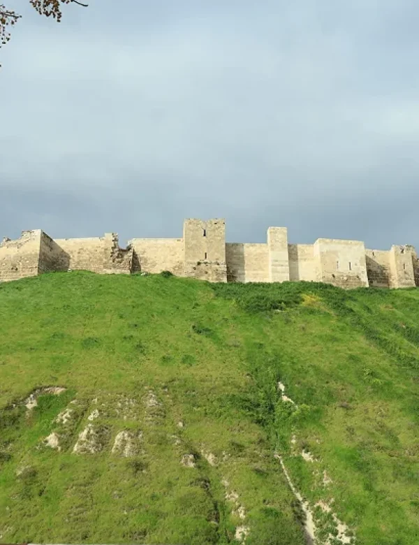 Siria, Damasco, Palmira, Aleppo, Lattakia, isola di Arwad, Krak dei Cavalieri, Maaloula, viaggio culturale, tour Siria, Medio Oriente
