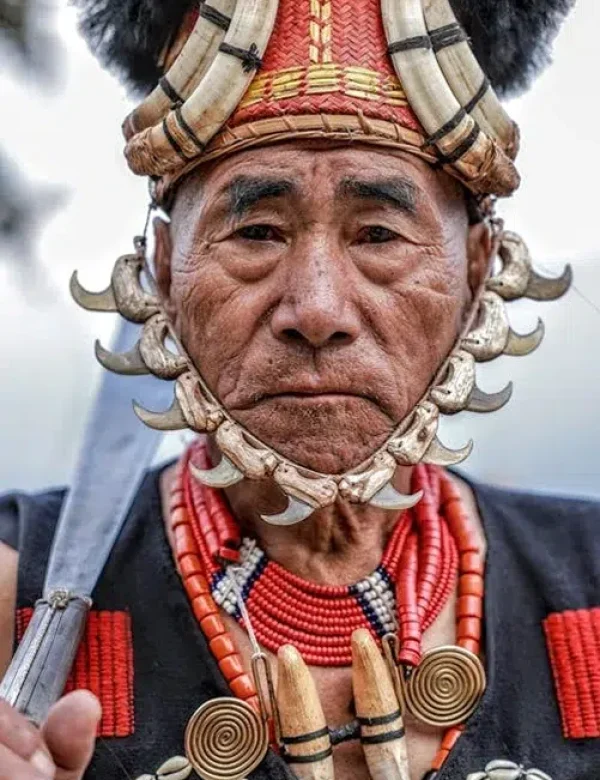india, nagaland, assam, hornbill festival, viaggi, tour operator, agenzia