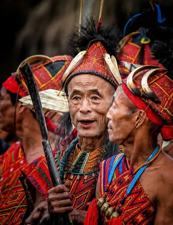 india, nagaland, assam, hornbill festival, viaggi, tour operator, agenzia