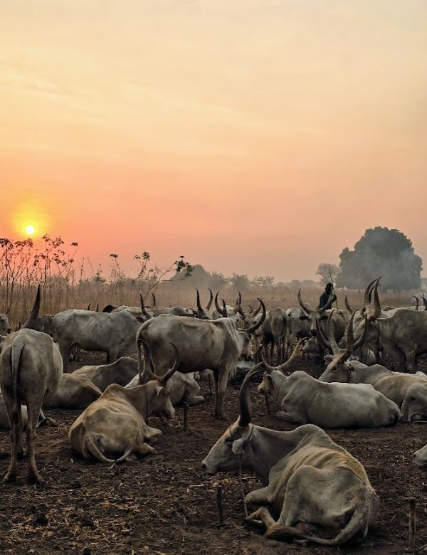 SUD SUDAN