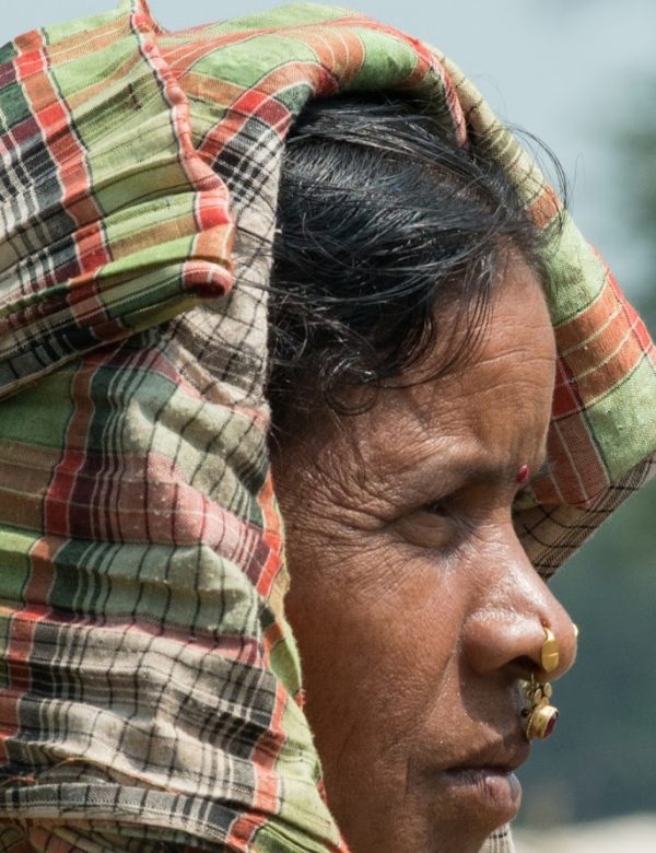 india, odisha, chhattisgarh, madhya pradesh, danda yatra, tribù, kanha, safari, tigri, mercati tribali, viaggio, tour, zero confini