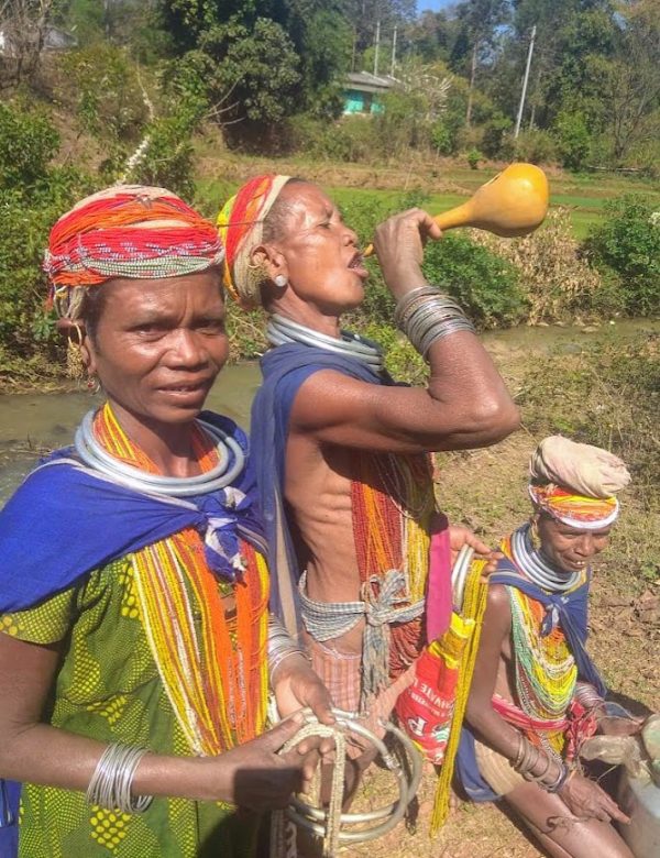 india, odisha, chhattisgarh, madhya pradesh, danda yatra, tribù, kanha, safari, tigri, mercati tribali, viaggio, tour, zero confini