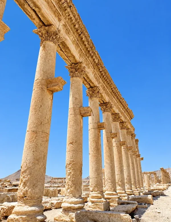 viaggio in Siria, Damasco, Aleppo, Palmira, Marmarita, Maalula, Bosra, Krak dei Cavalieri, Zero Confini, tour Siria