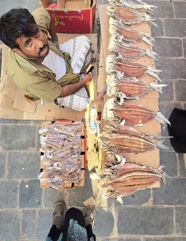 yemen, socotra, hadramaut, seiyun, shibam, wadi dawan, deserto, qalanisyah, laguna detwah, viaggio, tour, campo tendato, mar rosso