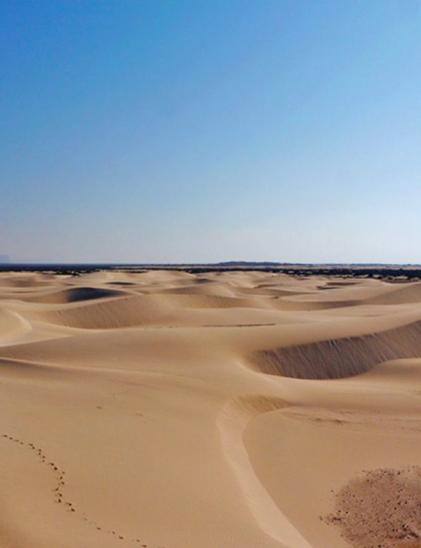 socotra004