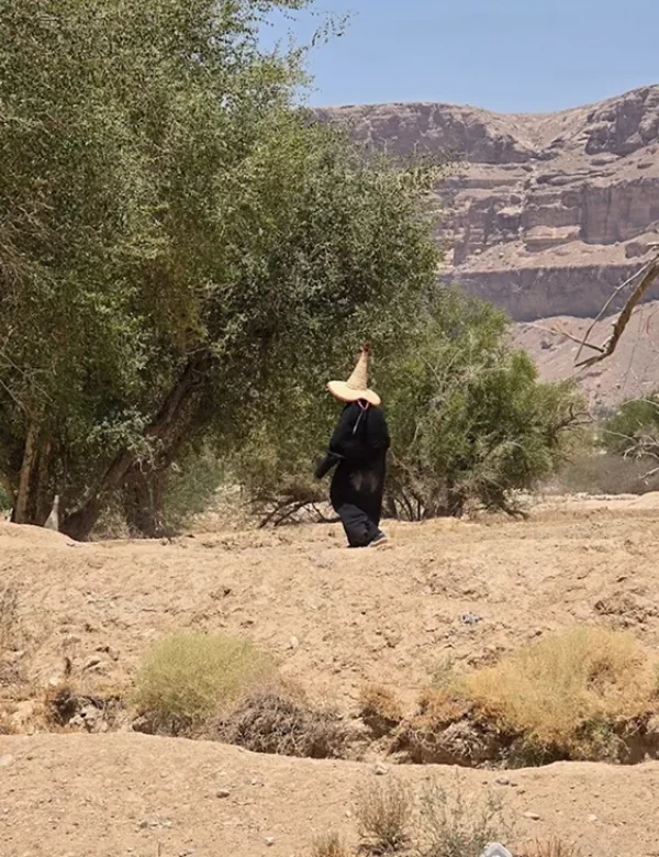 yemen, socotra, hadramaut, seiyun, shibam, wadi dawan, deserto, qalanisyah, laguna detwah, viaggio, tour, campo tendato, mar rosso